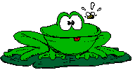 clipart grenouille verte avec un insecte