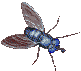 gif anime mouche volante