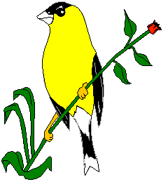 Clipart canari jaune sur une branche