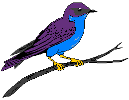 Image clipart oiseau de twitter bleu