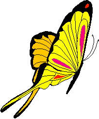 clipart papillon jaune