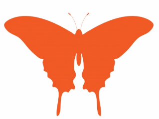 un butterfly orange