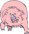 Image porc