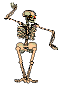 squelette homme