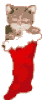 Gif chaussette de noel avec chaton