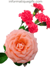 Image clipart bouquet de fleurs