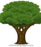 clipart arbre de la foret