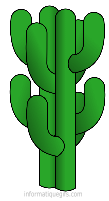 Gros cactus