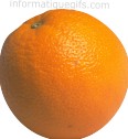 orange fruit