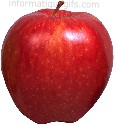 image pomme apple