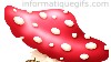 image champignon