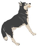 image animal illustration