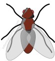 clip art mouche a merde