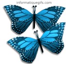 clipart insecte bleu