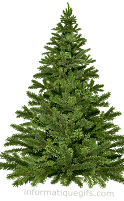 Clip art sapin vert