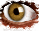 la pupille marron et cornee