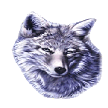 clipart tete de loup