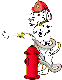 Un dalmatiens avec borne incendie