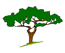arbre de vie gratuit