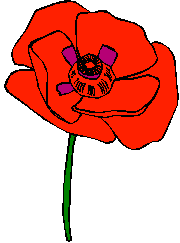 coquelicot