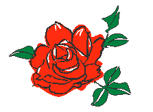 dessin rose rouge