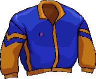 manteau blouson