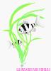 Image plante verte