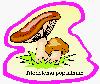 Champignon du bois