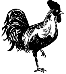 clipart coq poule