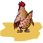 clipart poule