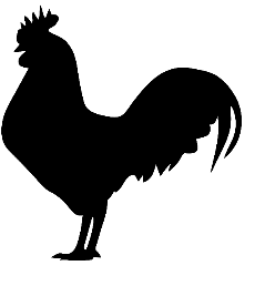 image coq