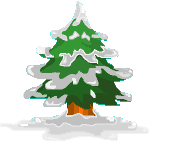 sapin avec de la neige blanche