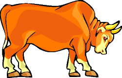 clipart taureau