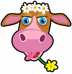 vache marguerite