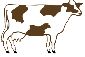 dessin vache a lait
