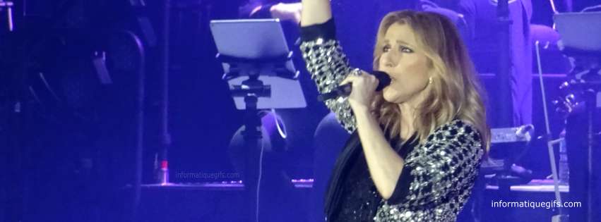 Photo de Celine Dion au concert de Lille