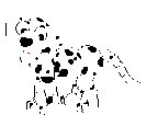 Image Dalmatien