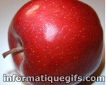 photo pomme rouge