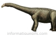 Diplodocus image dinosaure long cou