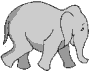 Gifs Animés Elephant qui marche