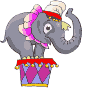 Un elephan de cirque
