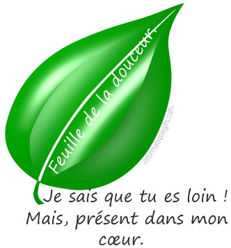 image je sais que tu es loin