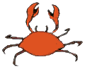 Image crabe anime