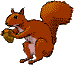 Gif anime ecureuil et sa nourriture