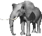 Gif anime elephant blanc