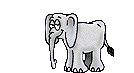 Image gif animé elephant