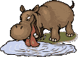 hippopotame gif anime animal