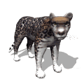 Image gifs animal du zoo