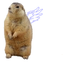 Une animation gif marmotte qui vol