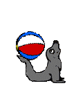 Gifs animal qui joue